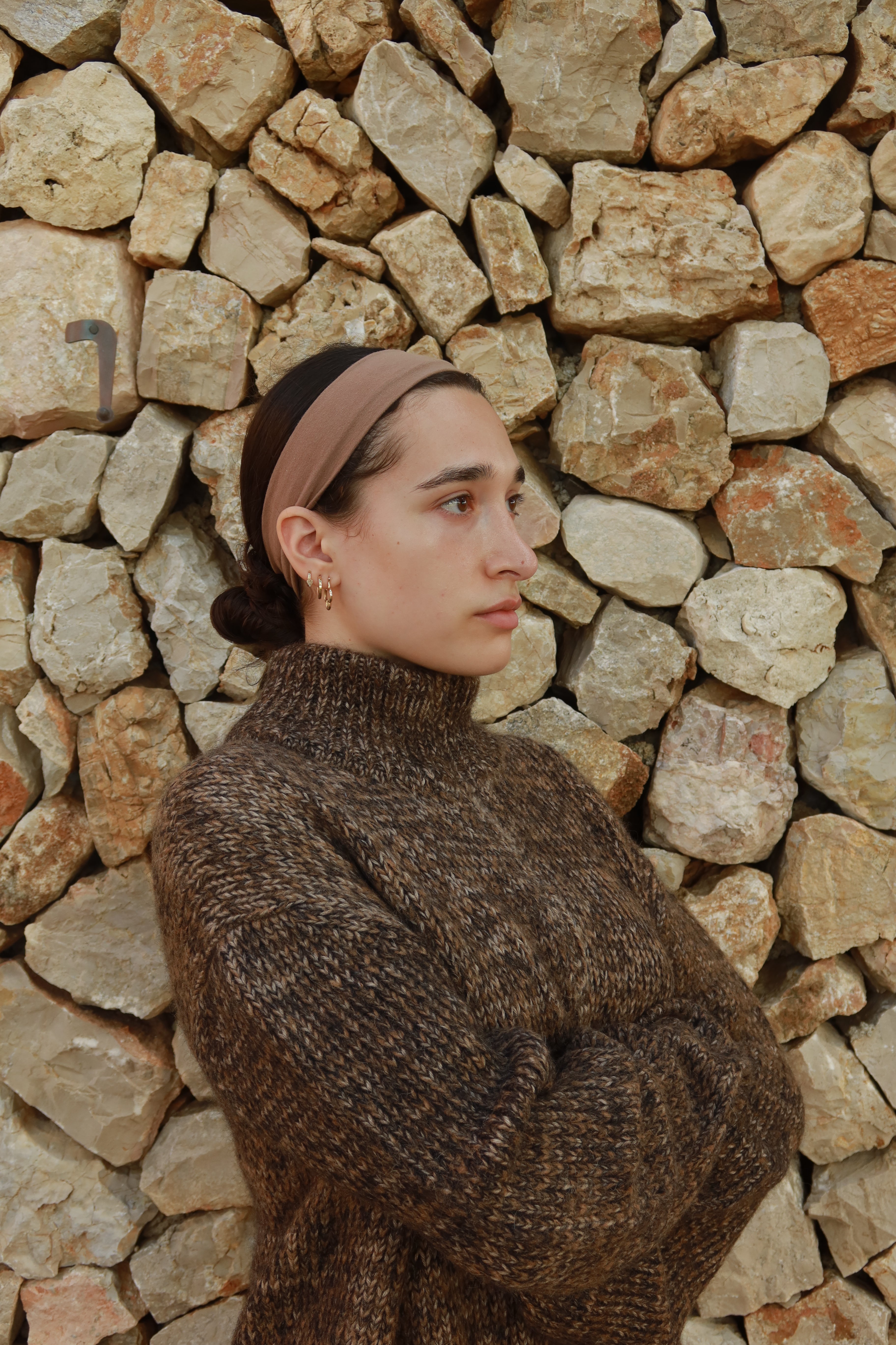 Brown Sweater